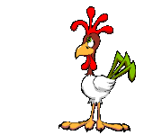 chicken
