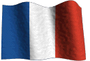 French Flag-Animated