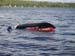 amanda_charlie_jetski07