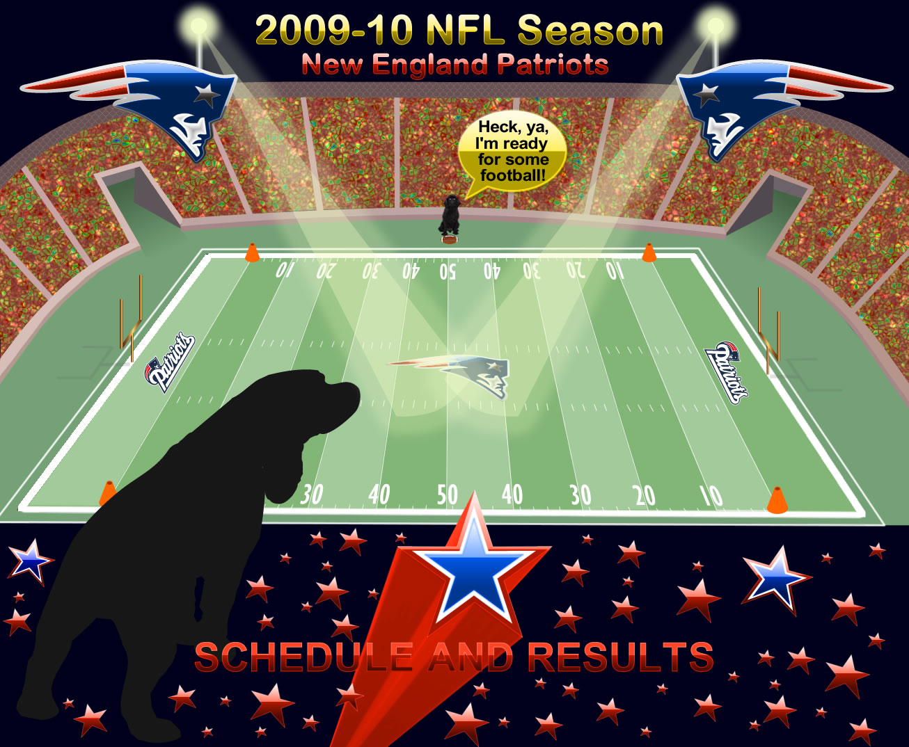 New England Patriots 2009-10