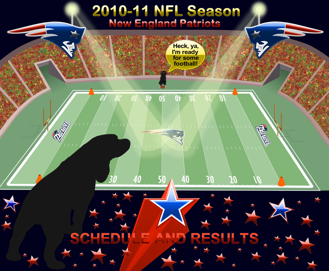 New England Patriots 2009-10